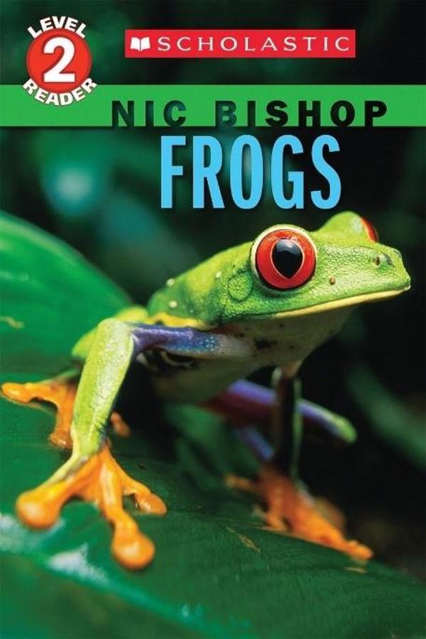 Nüans Publishing Frogs (Scholastic Reader Level 2) - Image 1
