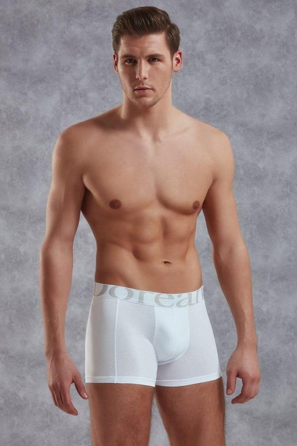 Doreanse Erkek Modal Torbalı Normal Paça Boxer 1777 - Image 1