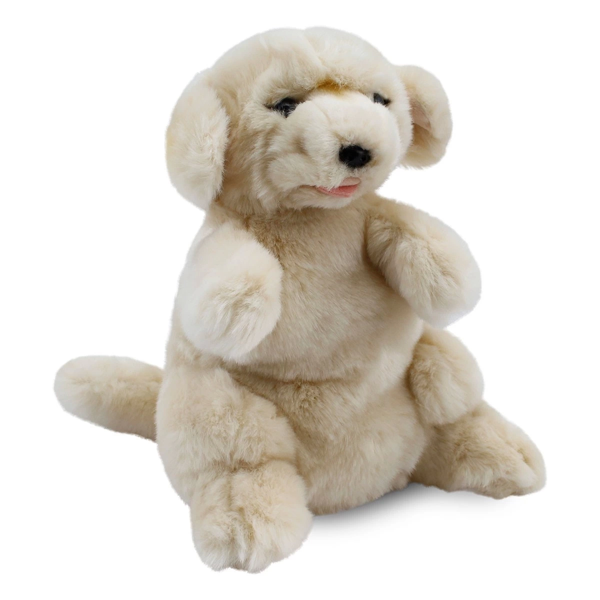 Golden Retriever Kukla 30cm Kız Erkek Çocuk Oyuncak Eğitici Oyuncaklar - Image 1