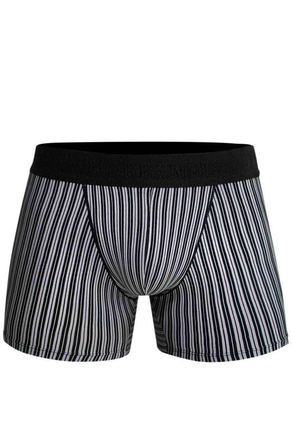 Doreanse Erkek Modal Çizgi Desenli Normal Paça Boxer 1866 - Image 1