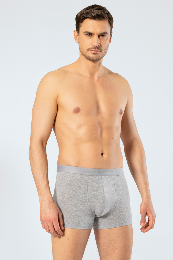Cacharel Erkek Boxer 1405/Gri - Image 1