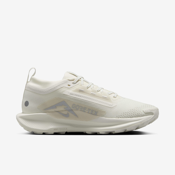Nike Koşu Ayakkabısı W Pegasus Trail 5 Goretex - Image 1