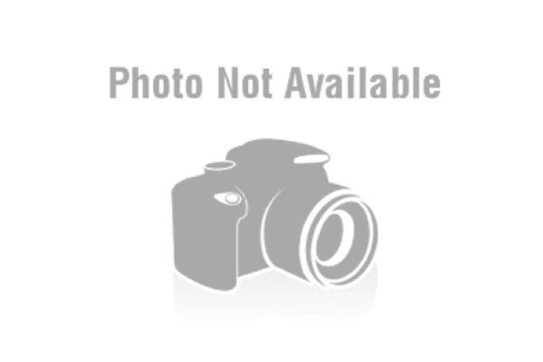 Renault Taılant 2021- Ön Panjur Krom Krom Çıta Tk (Oem No:623840762R) - Image 1
