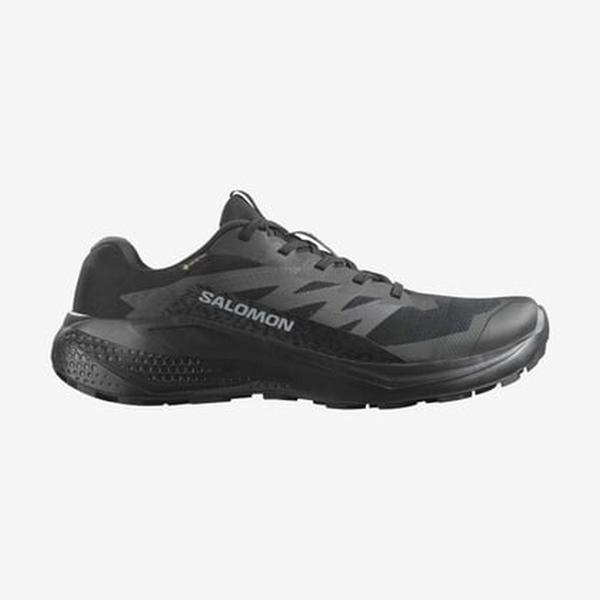 Salomon ALPHAGLIDE GORE-TEX Erkek Ayakkabısı L47802100 - Image 1