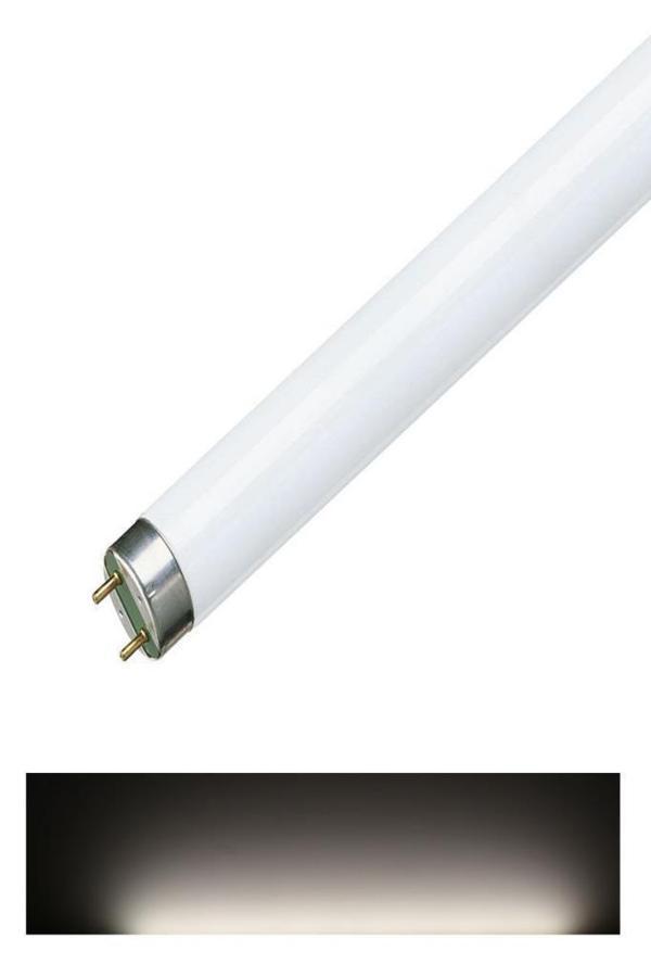 OSram Lumilux 30W T8 Floresan Ampul 90 cm Günışığı - 4000K - Image 1