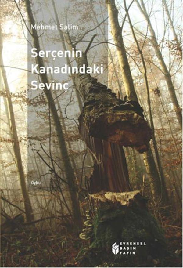 Serçenin Kanadındaki Sevinç - Evrensel Basım Yayın - Image 1