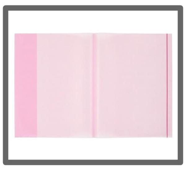 Bigpoint A4 Hazır Defter Kabı 5li Paket Şeffaf Kırmızı - Image 1