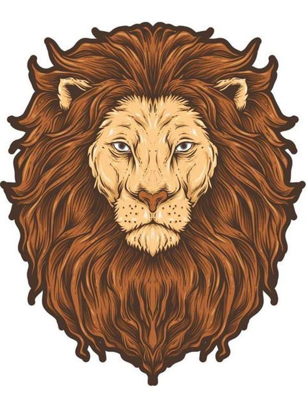 Aslan Sticker Araba Oto Motorsiket 19CM - Image 1