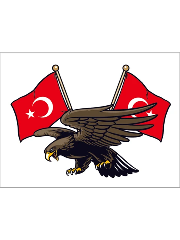 Kartal Türk Bayrağı Ay Yıldız Sticker 19CM - Image 1