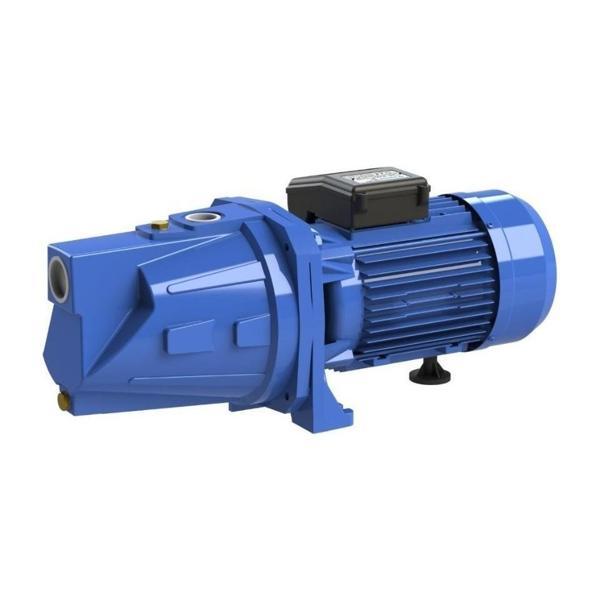 Sumak Smj220 Kendinden Emişli Jet Pompa Monofaze (220V) 2.2Hp - Image 1