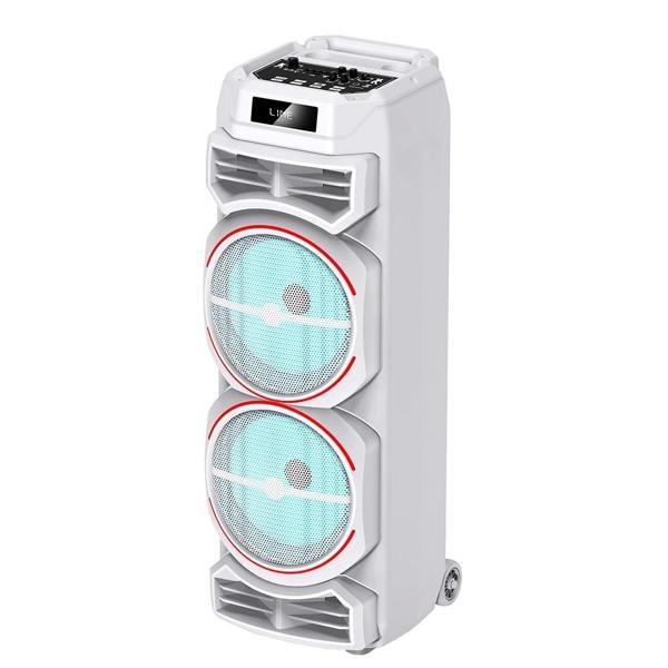 Zore GD-2828 Dijital LED Göstergeli Mikrofonlu RGB TWS Çift 8 inç Stereo Bass Kablosuz Karaoke Hopar - Image 1