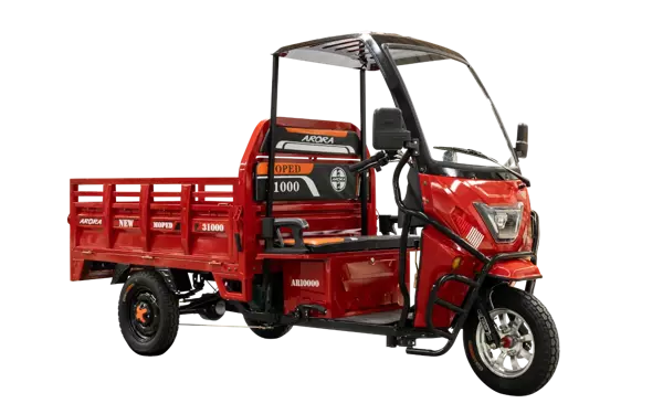 ARORA AR10000 KASALI ÜÇ TEKERLEKLİ ELEKTRİKLİ MOTOSİKLET - Image 1