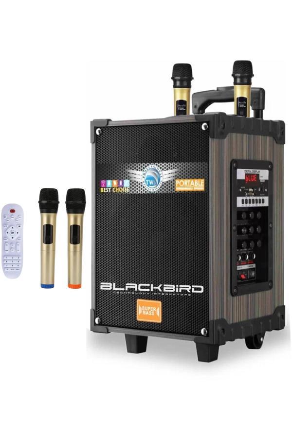 Hepu Hp-925 Taşınabilir Şarjlı 10 İnç 40W Bluetooth Hoparlör - Image 1