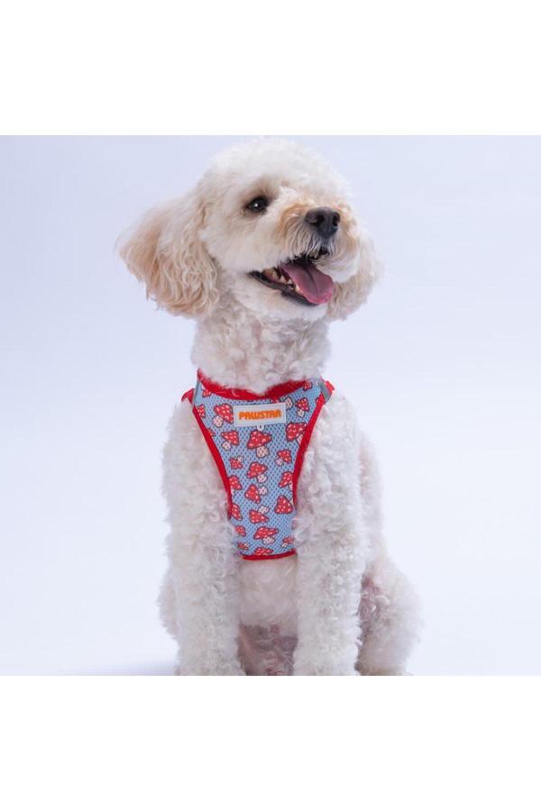 Pawstar Mushroom Air-Mesh Göğüs Tasması Kedi Köpek Göğüs Tasması Mantar Desenli Köpek Tasması - Image 1