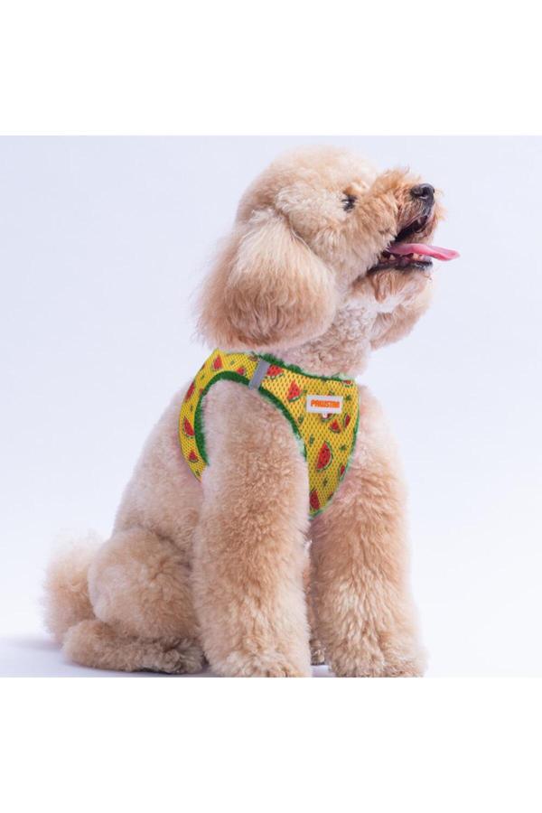 Pawstar Watermelon Air-Mesh Göğüs Tasması Kedi Köpek Göğüs Tasması Karpuz Desenli Köpek Tasması - Image 1