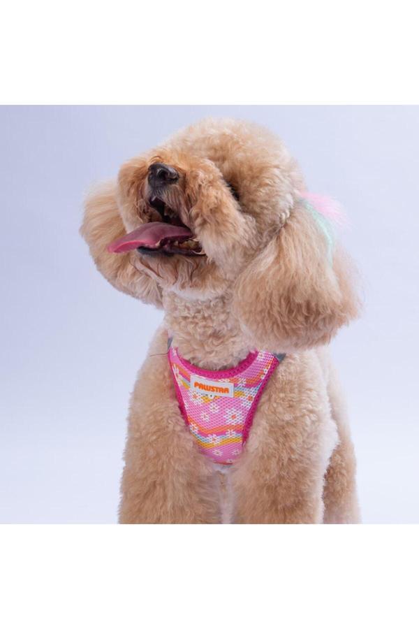Pawstar Daisy Air-Mesh Göğüs Tasması Kedi Köpek Göğüs Tasması Papatya Desenli Köpek Tasması - Image 1