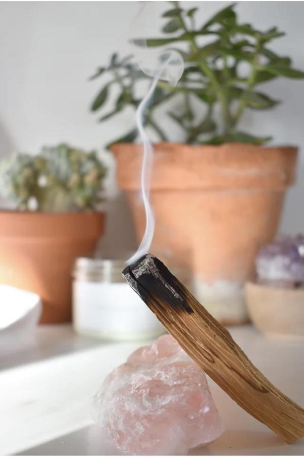 Landle Palo Santo Ağaç Tütsü 20 Gram - Image 1