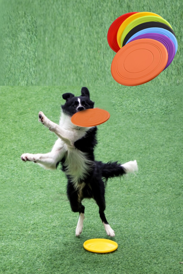 TİNEKE  Dayanıklı Silikon Frizbi Köpek Oyuncağı Esnek ve Güvenli Yakalama Oyunu Diski  17.5 cm 1 ADET - Image 1