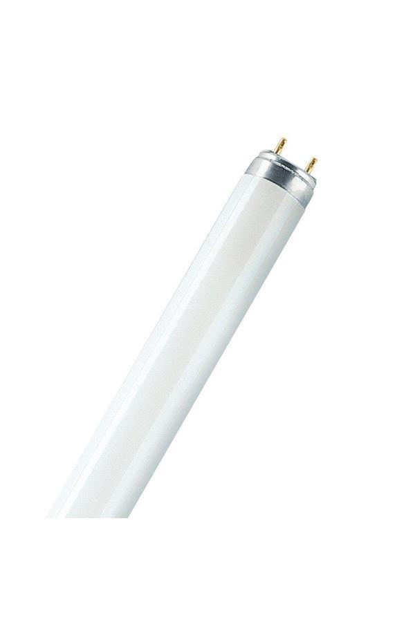 Sylvania Sylvanıa  14W/54-765 Daylıght 36Cm - Image 1