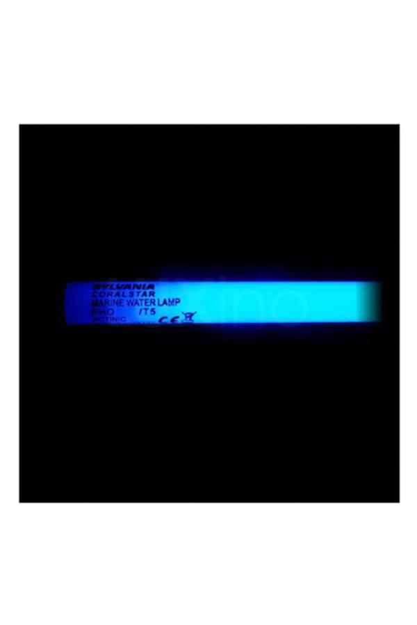 Sylvania Coralstar T8 18W 590Mm Coral Blue 430015 - Image 1