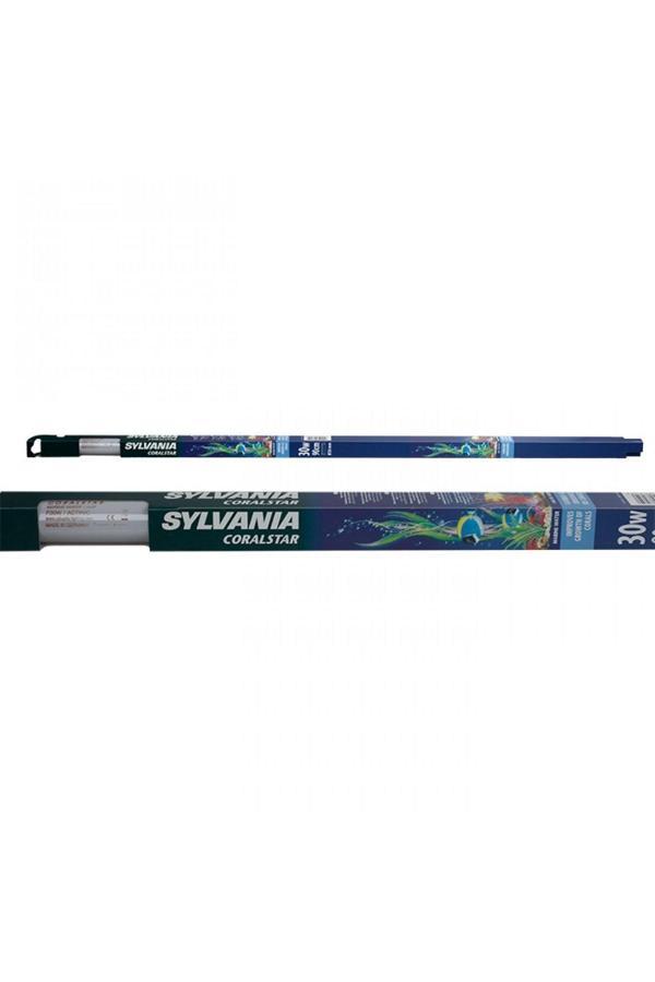 Trend Actinic Coralstar Floresan Lamba 30 W - Image 1