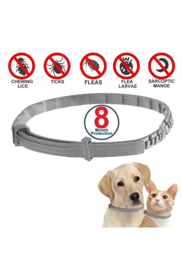 Lenscape Kedi-Köpek Anti Pire Kene Önleyici Tasma- 38 Cm Pire Önleyici Tasma-Kene Önleyici Tasma - Image 1