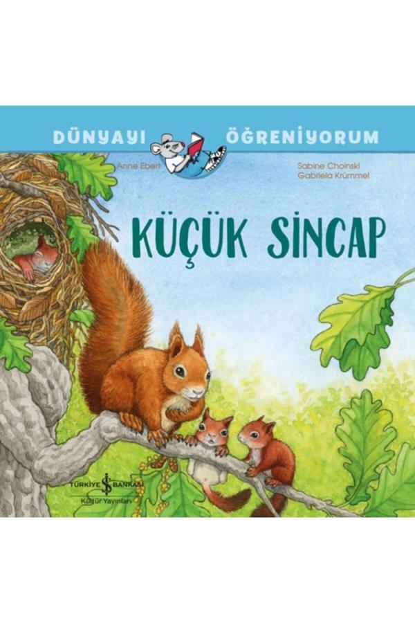 Dünyayı Öğreniyorum Küçük Sincap Sabıne Choınskı - İş Bankası Kültür Yayınları - Image 1