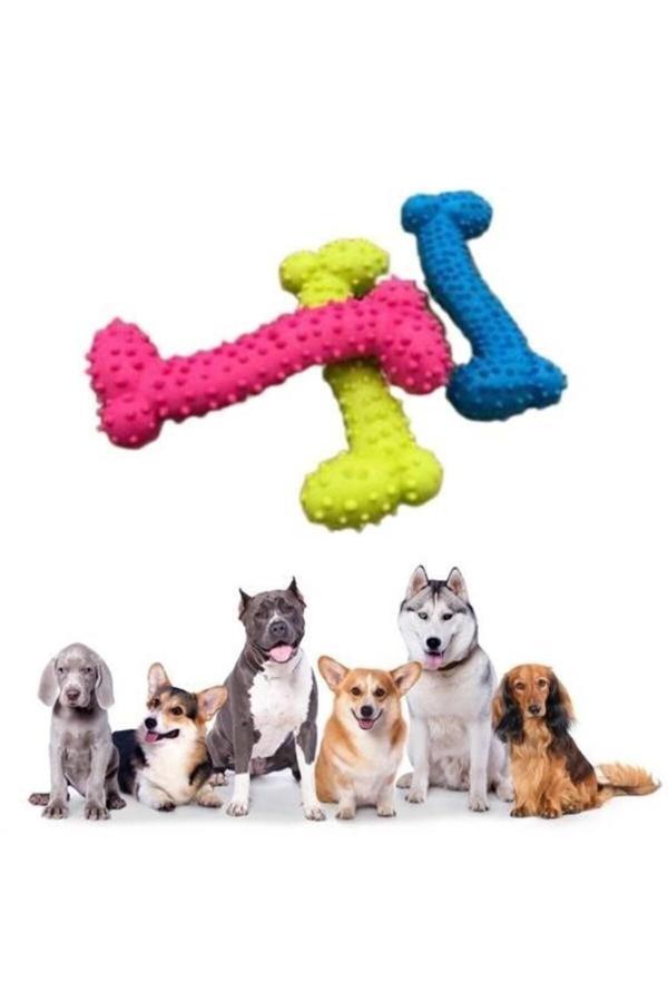 Asil Acar Home Tiny Kemik Oyuncağı Tırtıklı Yüzey Küçük Kemik Plastik Köpek Oyuncağı - Image 1