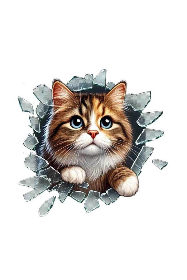 Asil Acar Home Fulcar Stray Araç Stickerı - Image 1