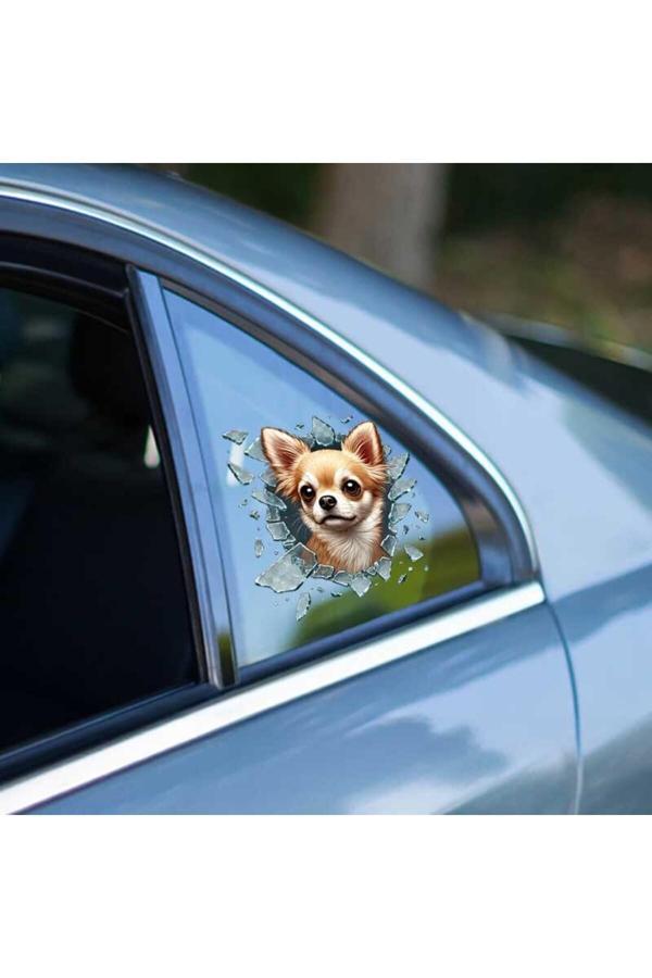 Asil Acar Home Fulcar Chiuahua Araç Stickerı - Image 1