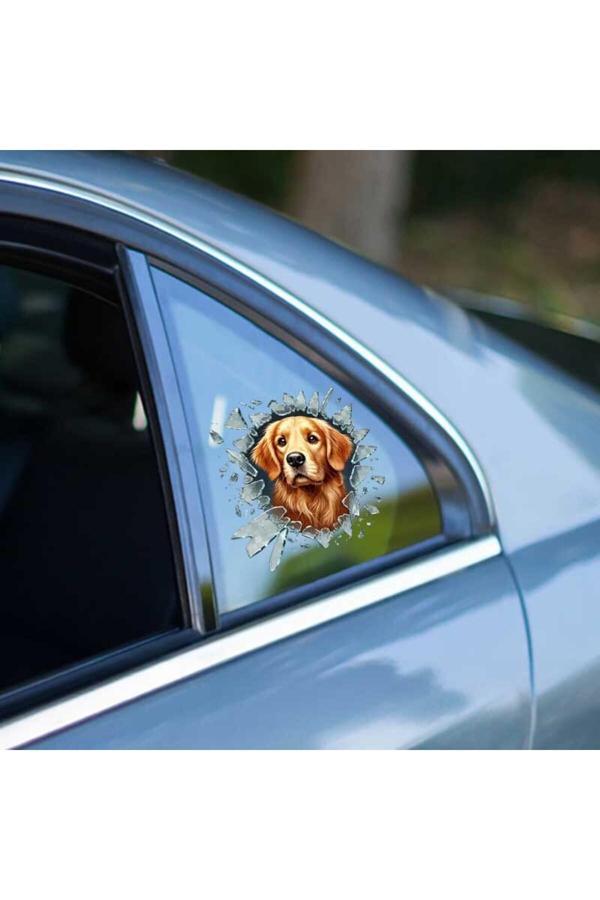 Asil Acar Home Fulcar Golden Araç Stickerı - Image 1