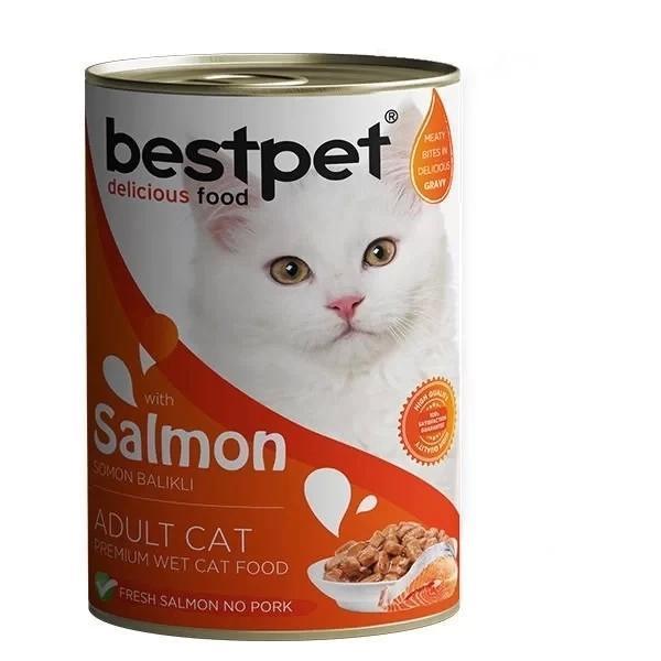 Bestpet Somonlu Jöleli Yetişkin Konserve Kedi Maması 400 Gr - Image 1