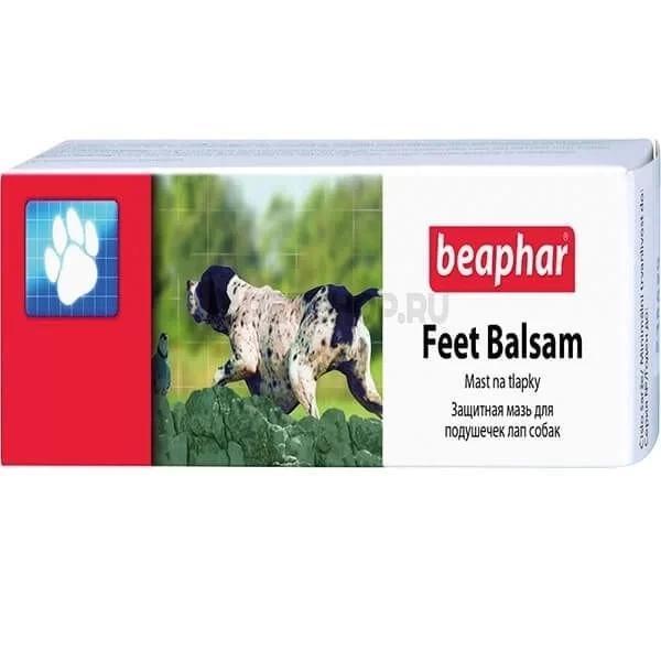 Beaphar Feet Balsam Köpek Pati Bakım Kremi 40 Ml - Image 1