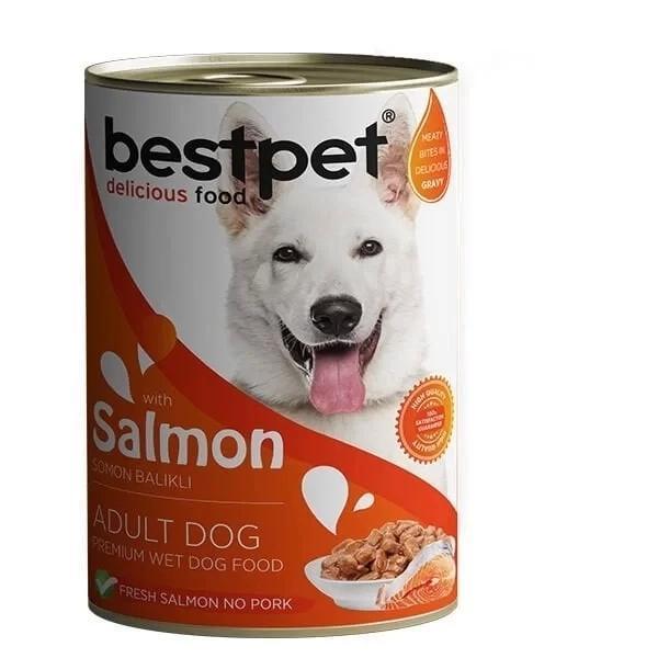Bestpet Somonlu Jöleli Yetişkin Köpek Konservesi 400 Gr - Image 1
