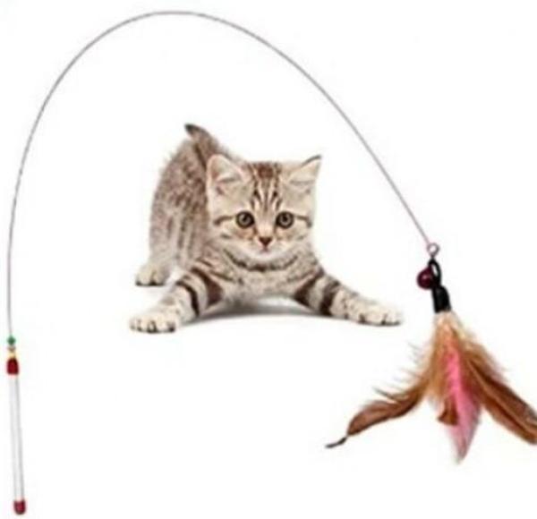 Kedi oyun oltası - Image 1