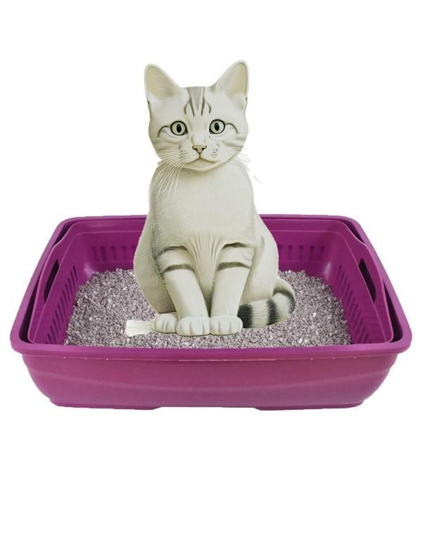 Açık Elekli Kedi Tuvaleti 37x49x17 cm  - Image 1
