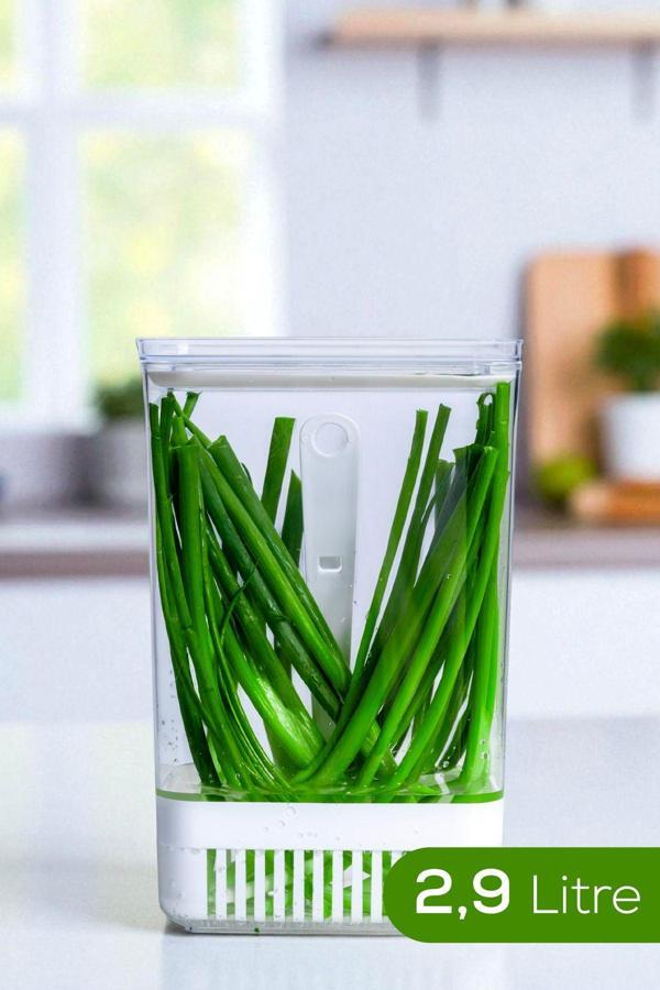 Süzgeçli Yeşillik Saklama Kabı 2,9 Litre - Image 1