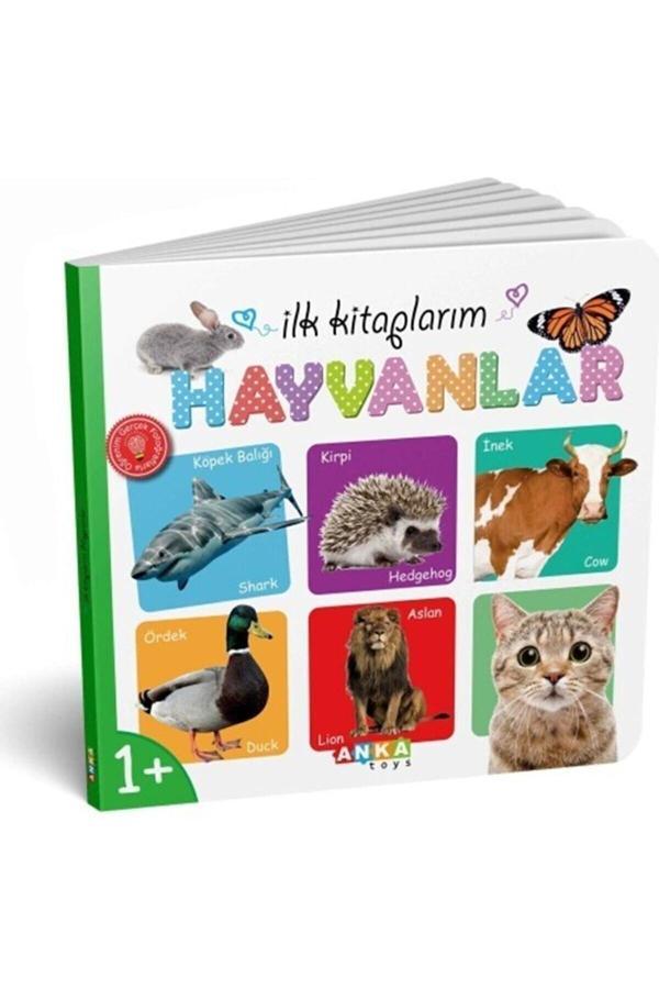 Ilk Kitabım, Eğitici Resimli Bebek Kitabı 1 Adet - Image 1