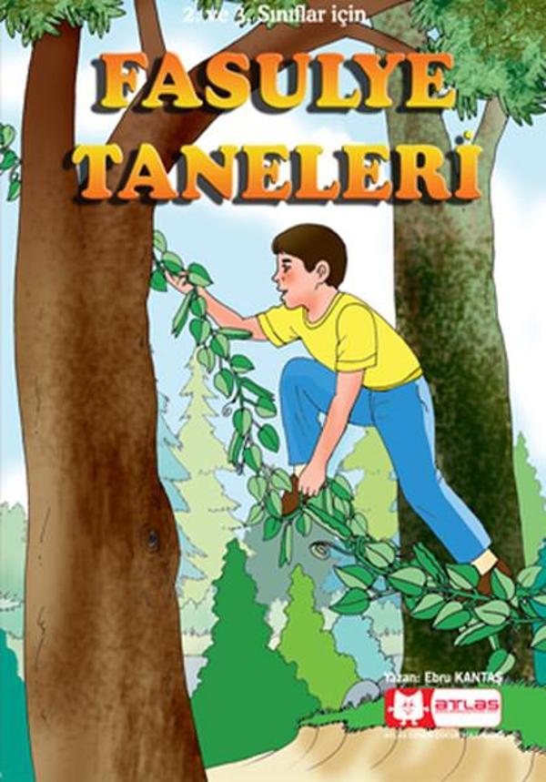 Fasulye Taneleri - Atlas Pazarlama - Image 1