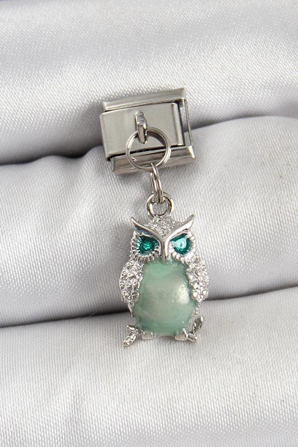 316L Çelik Sallantılı Zirkon Taşlı Baykuş Model Gümüş Renk Nomination Charm - Image 1