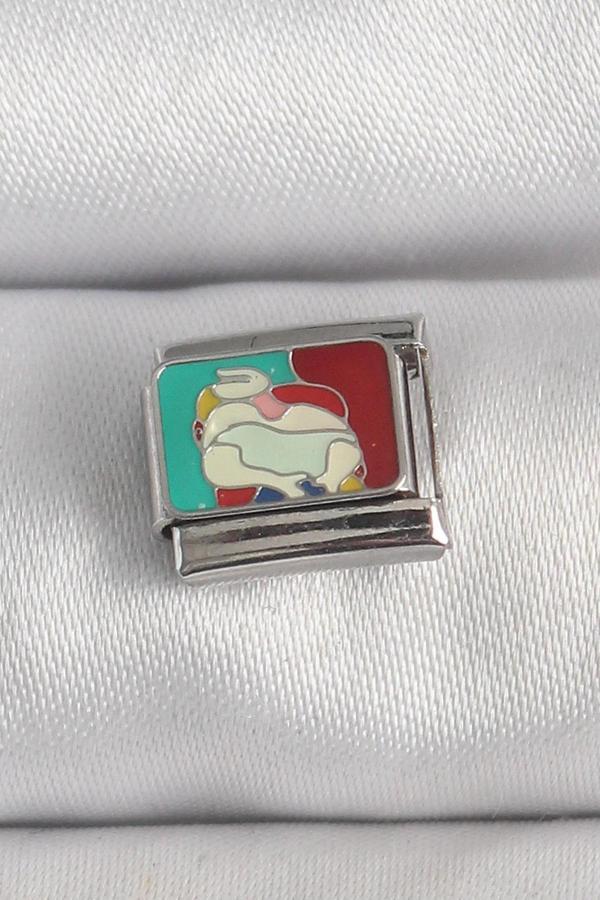 316L Çelik Gümüş Renk Renkli Portre Model Nomination Charm - Image 1