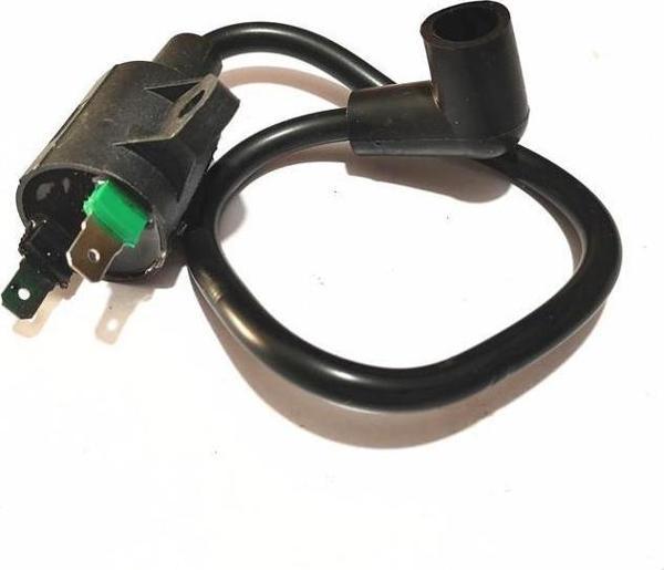 Jenerator Ateşleyici Bobin GL950/EF950 - Image 1