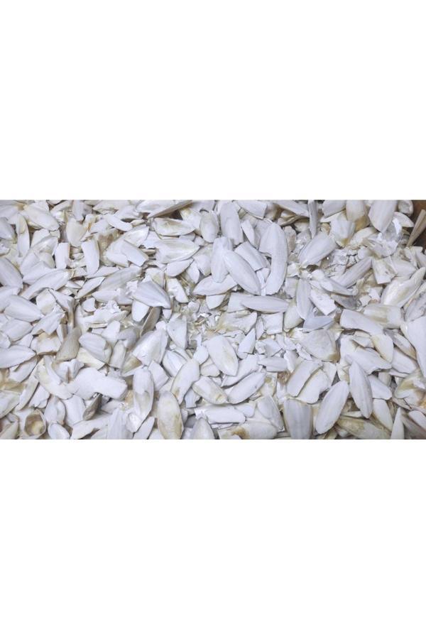 Çotanaklar Kafes Kalamar Kemiği Kırık Toz 500 Gr - Image 1