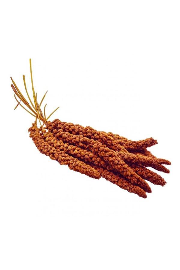 Çotanaklar Kafes Kızıl Dal Darı 150 Gr - Image 1