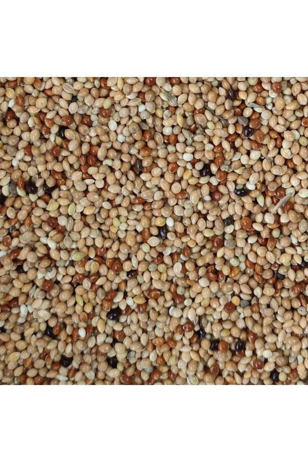 Çotanaklar Kafes Muhabbet Kuşu Yemi Karışık 1 Kg - Image 1
