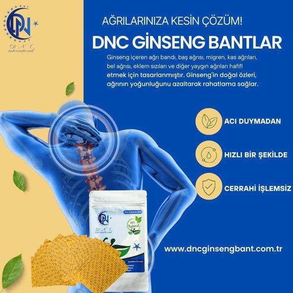 Dnc İnternational - Image 1