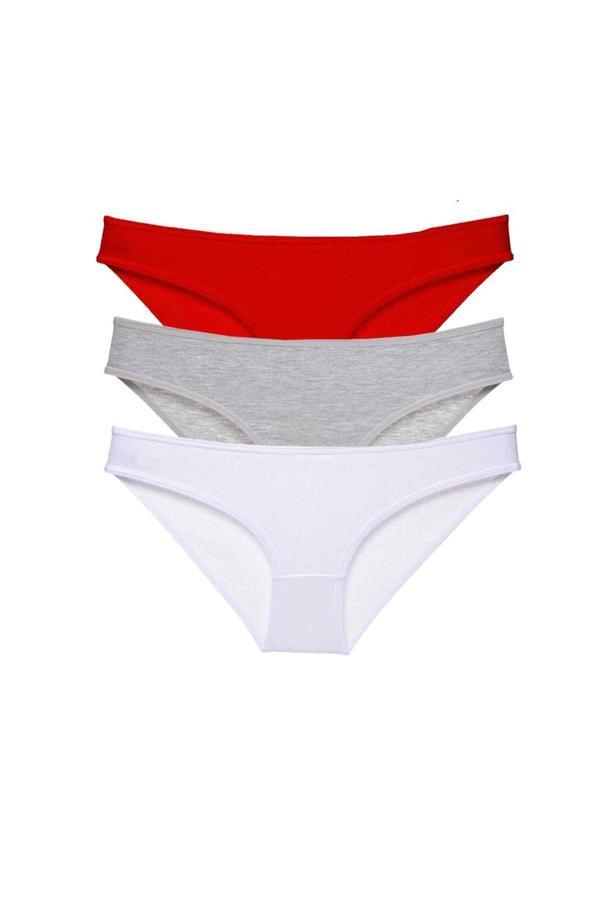 3 adet Süper Eko Set Likralı Kadın Slip Külot 542 - Image 1