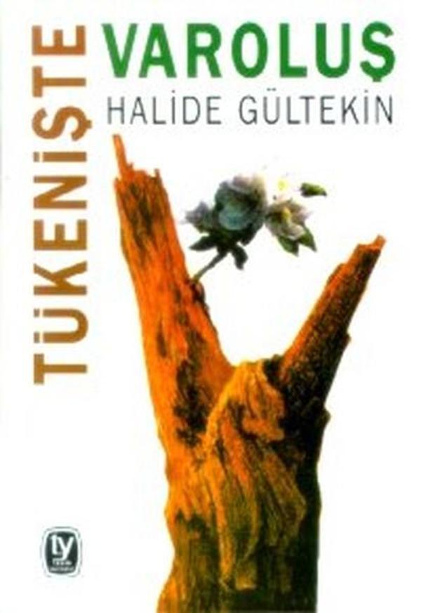 Tükenişte Varoluş - Tekin Yayınevi - Image 1