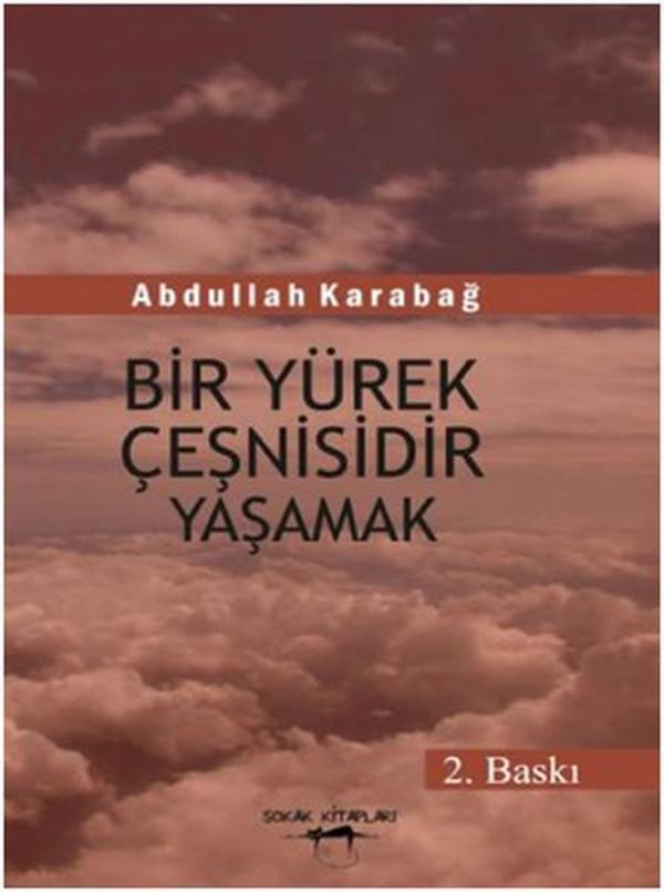 Bir Yürek Çeşnisidir Yaşamak - Sokak Kitapları Yayınları - Image 1