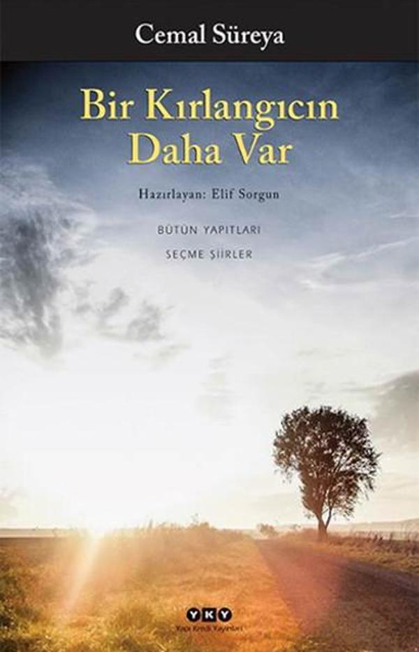 Bir Kırlangıcın Daha Var - Yapı Kredi Yayınları - Image 1